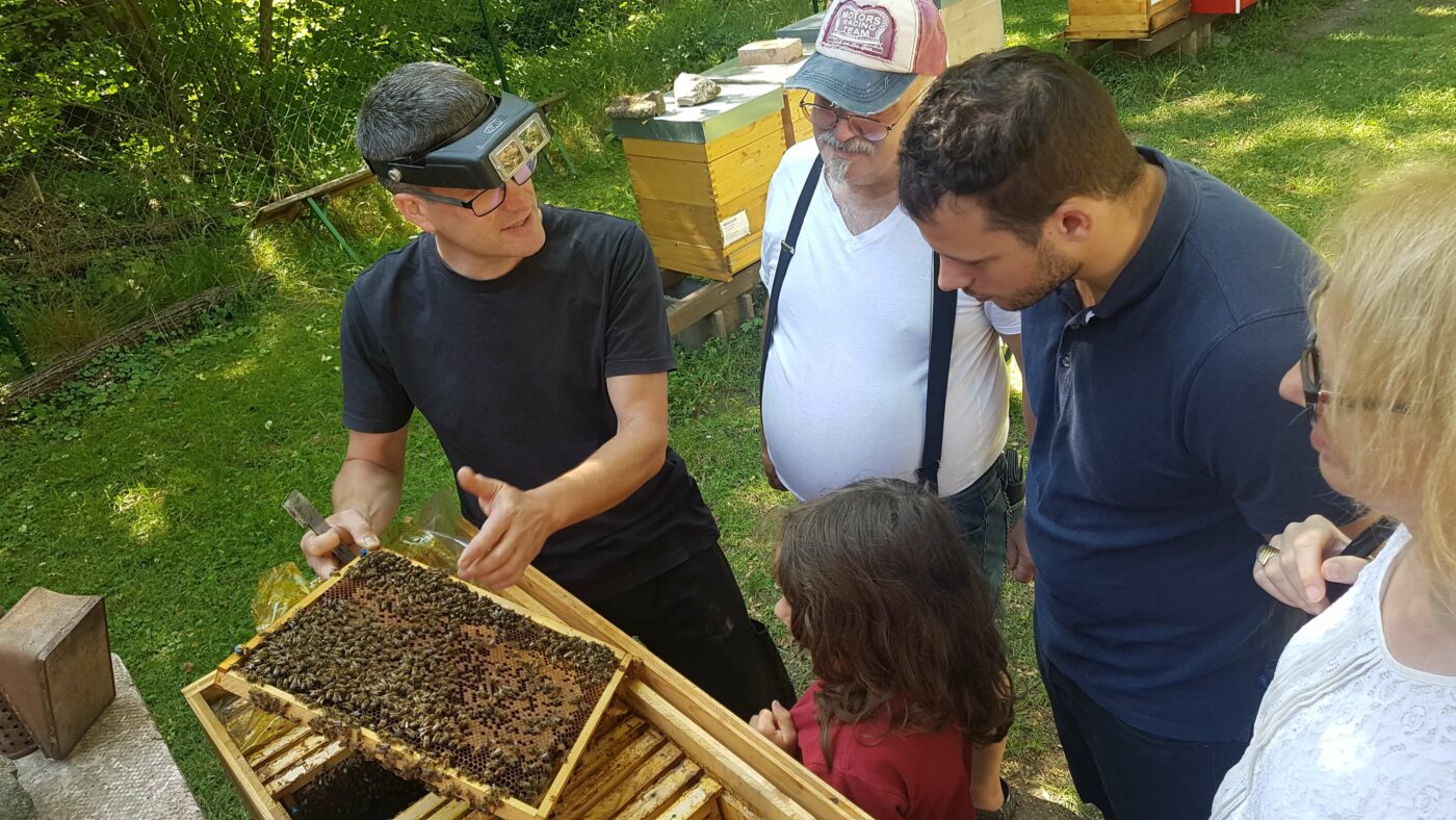 Landesverband für Bienenzucht mit Imkerschule in Wien