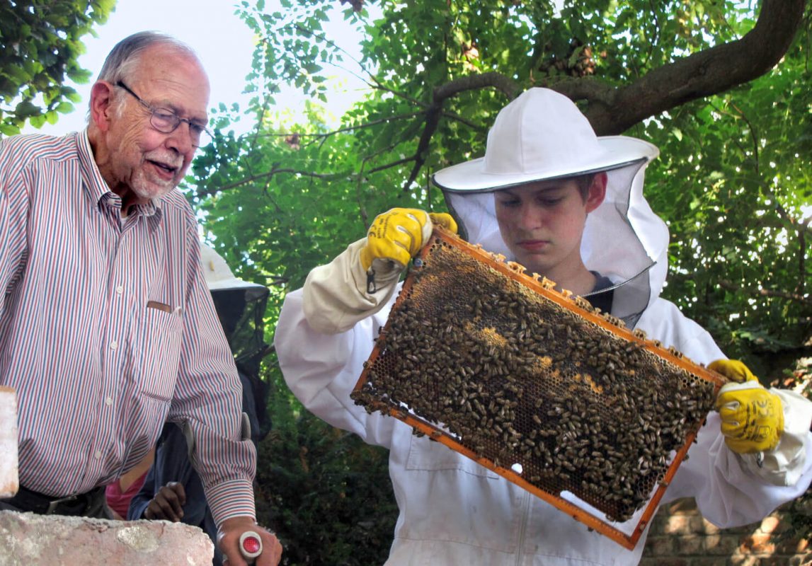 Landesverband für Bienenzucht mit Imkerschule in Wien