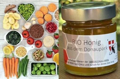 2604 Workshop Natürliche Immunkraft mit Bienenpower & Traditioneller Chinesischer Medizin am 16.11.2025