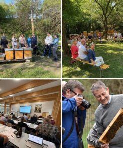 Mehr als Honig: Workshops für neugierige Imker:innen und Interessierte