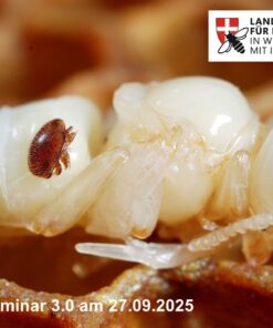 2622 Varroaseminar 3.0 am 25.03.2026