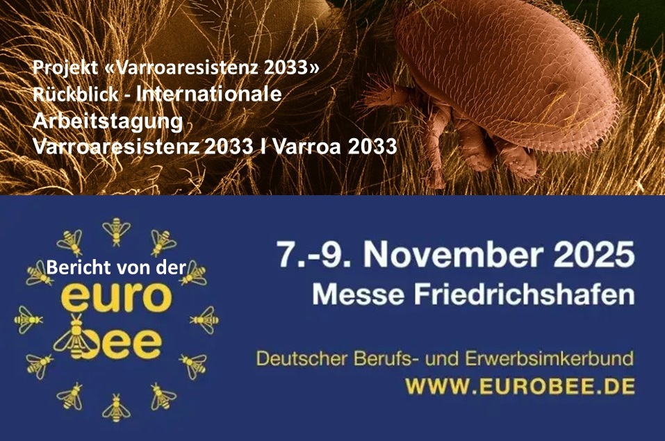 2619 Kamingespräch 01 PRÄSENZ