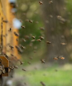 2632  Argumente für Biotechnik — die chemiefreie Imkerei am 17.04.2026